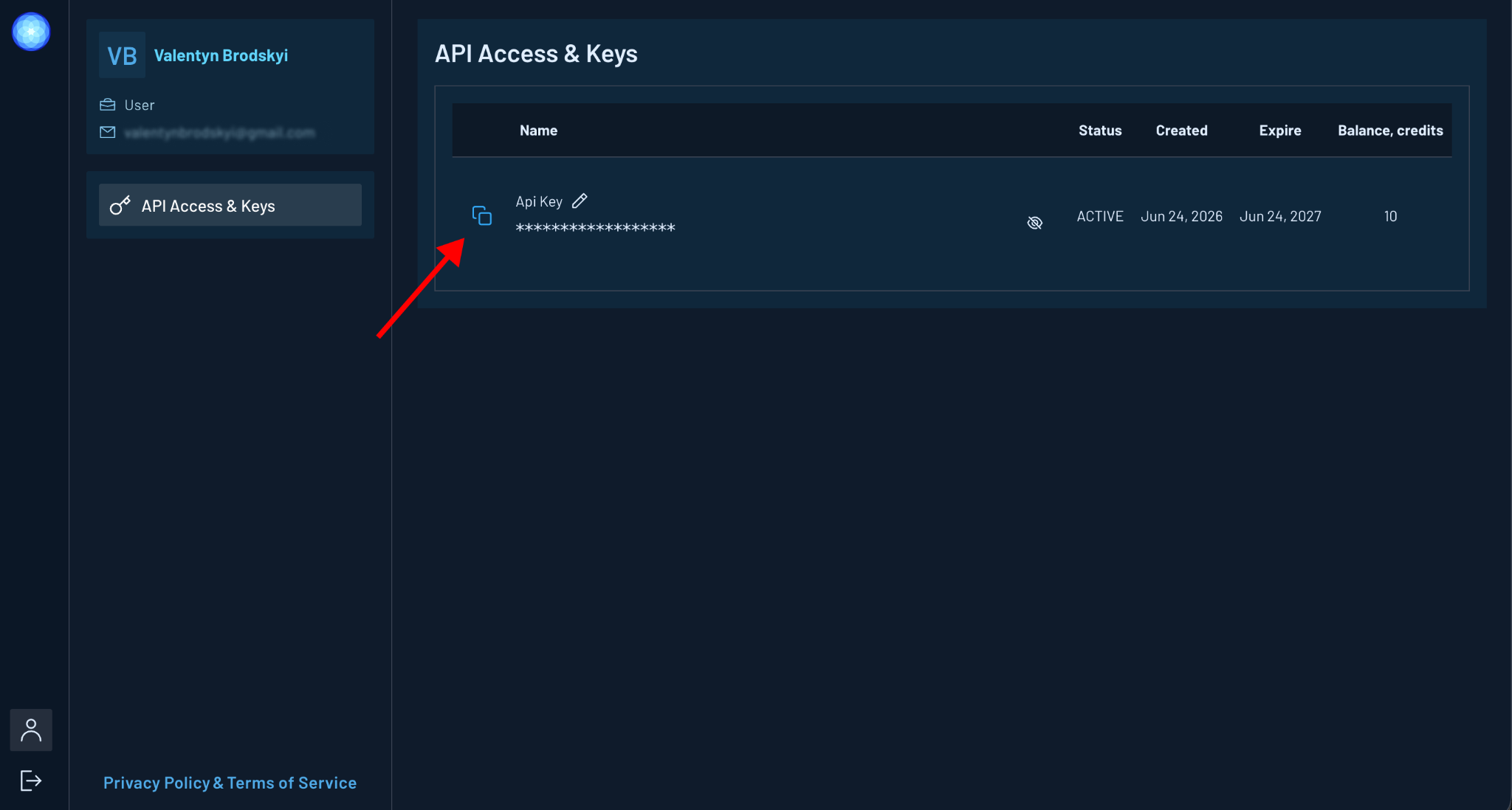 API Access and Keys page in the Gamma Earth dashboard, with the copy icon next to the API key highlighted