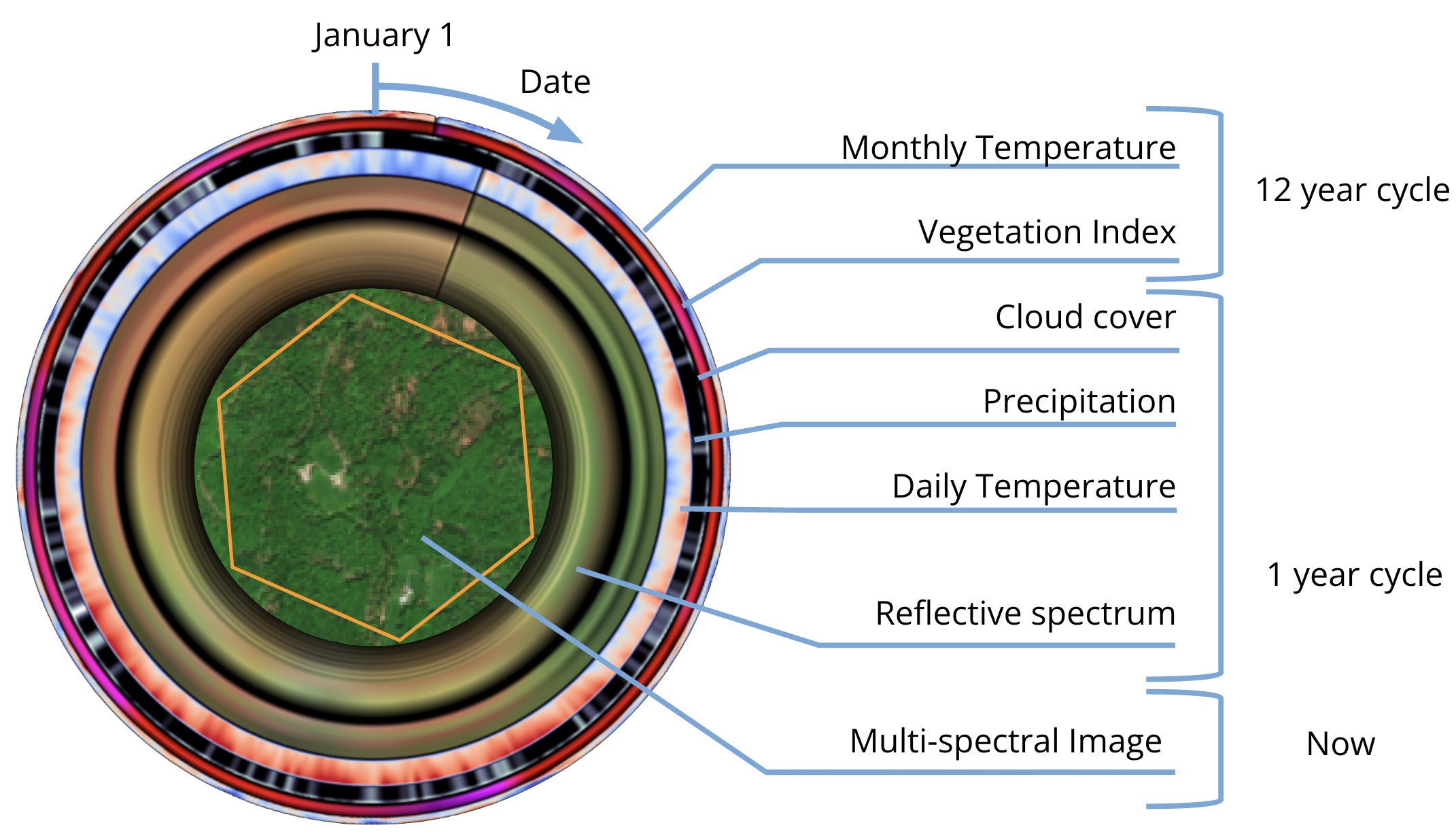 EcoMandala Diagram